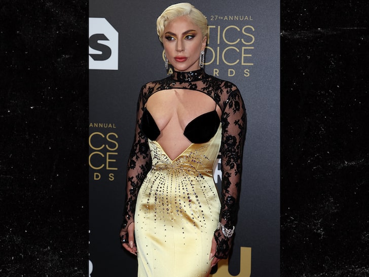 Lady Gaga Rocks Eye-Popping Dress at Awards