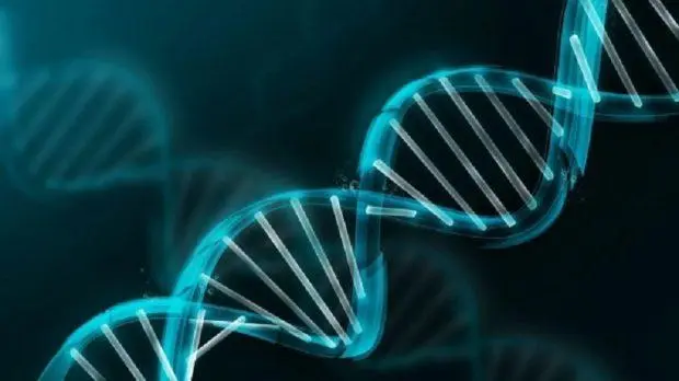 Scientists Decoded The Entire Human Genome