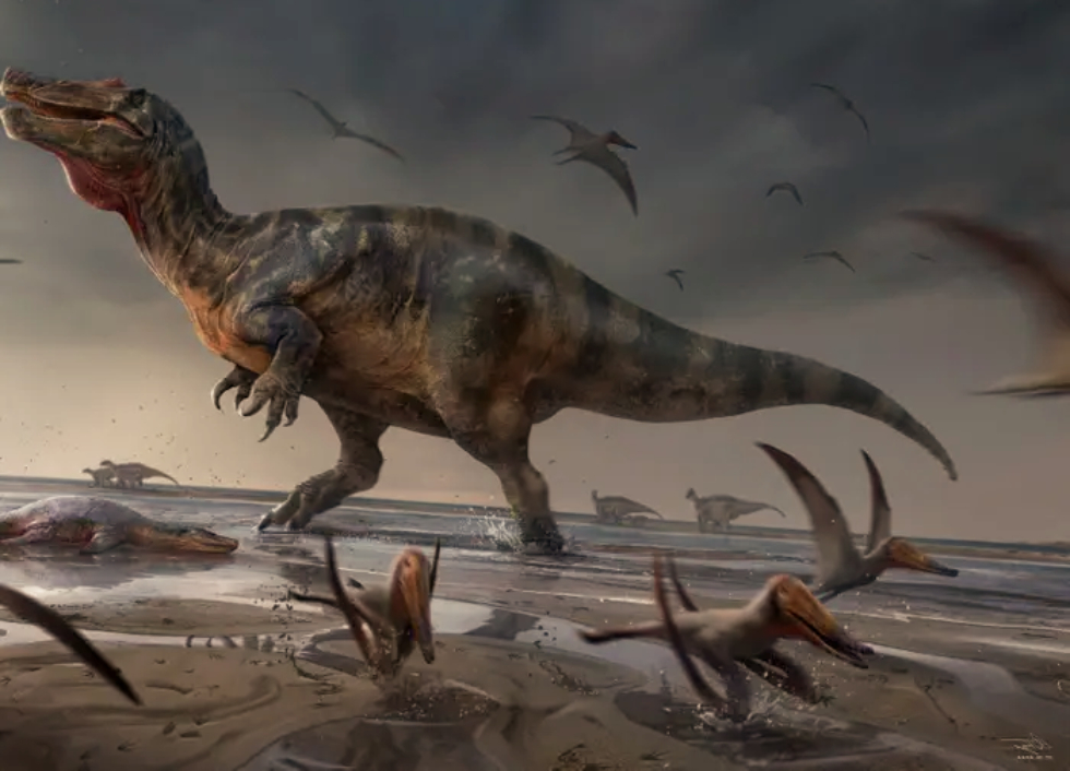 member of the Tyrannosaurid