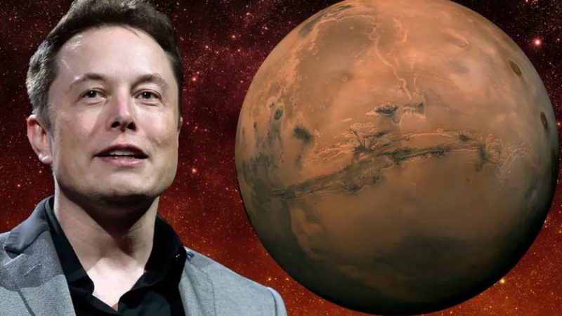 Elon Musk dreams