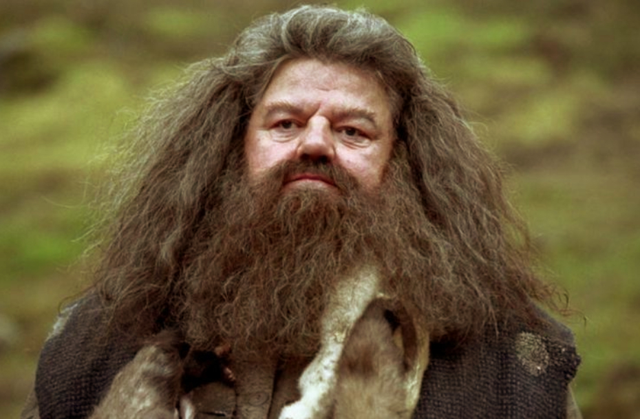 Hagrid in ‘Harry Potter’