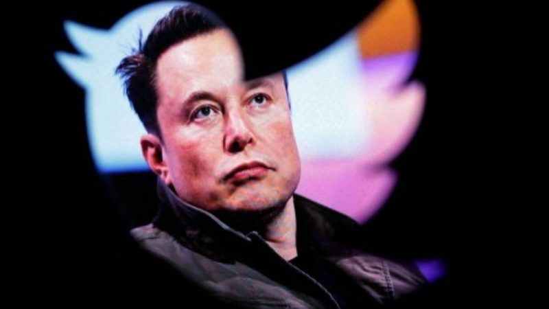 Elon Musk can fight