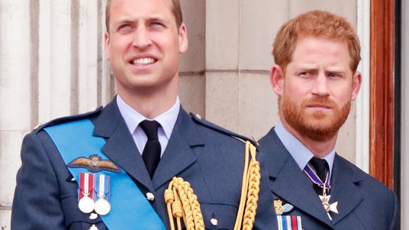 Prince William's Tension With Rogue Brother Harry