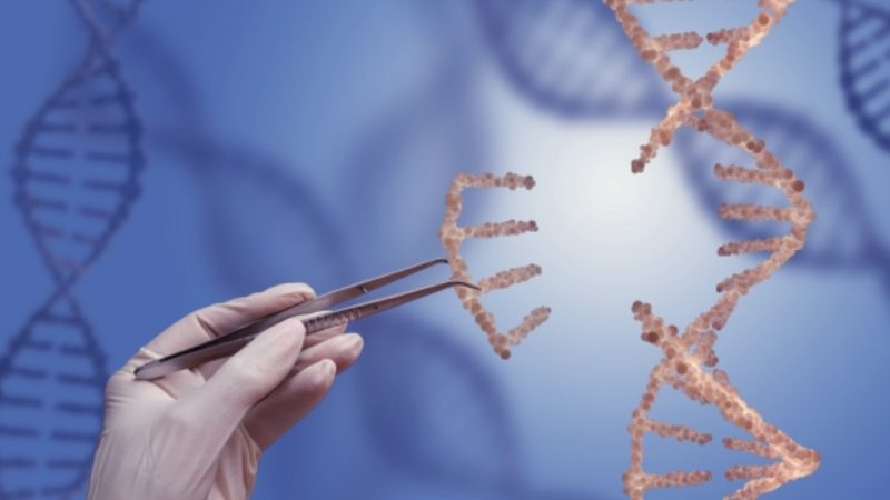 the success of genome editing